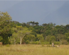 PORCENTAJE DEL LOTE RURAL LA ALBORADA